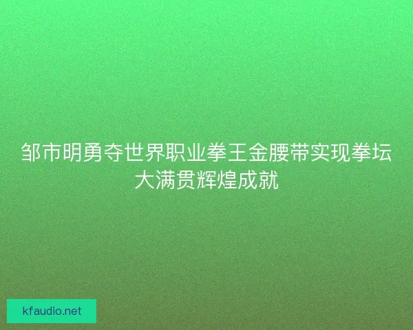 邹市明勇夺世界职业拳王金腰带实现拳坛大满贯辉煌成就